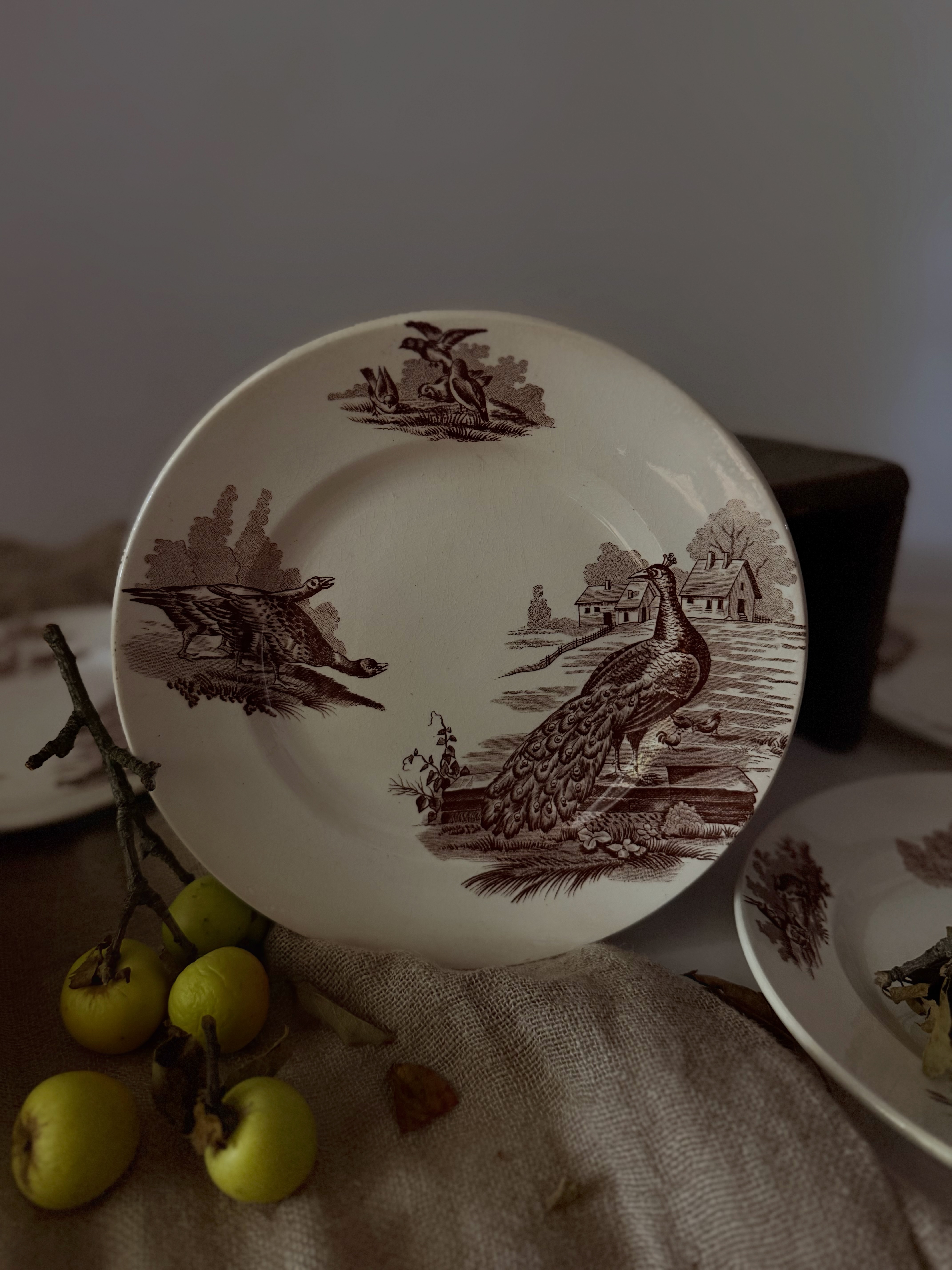 Close up detail of the sepia transferware plate featuring a peacock and turkeys