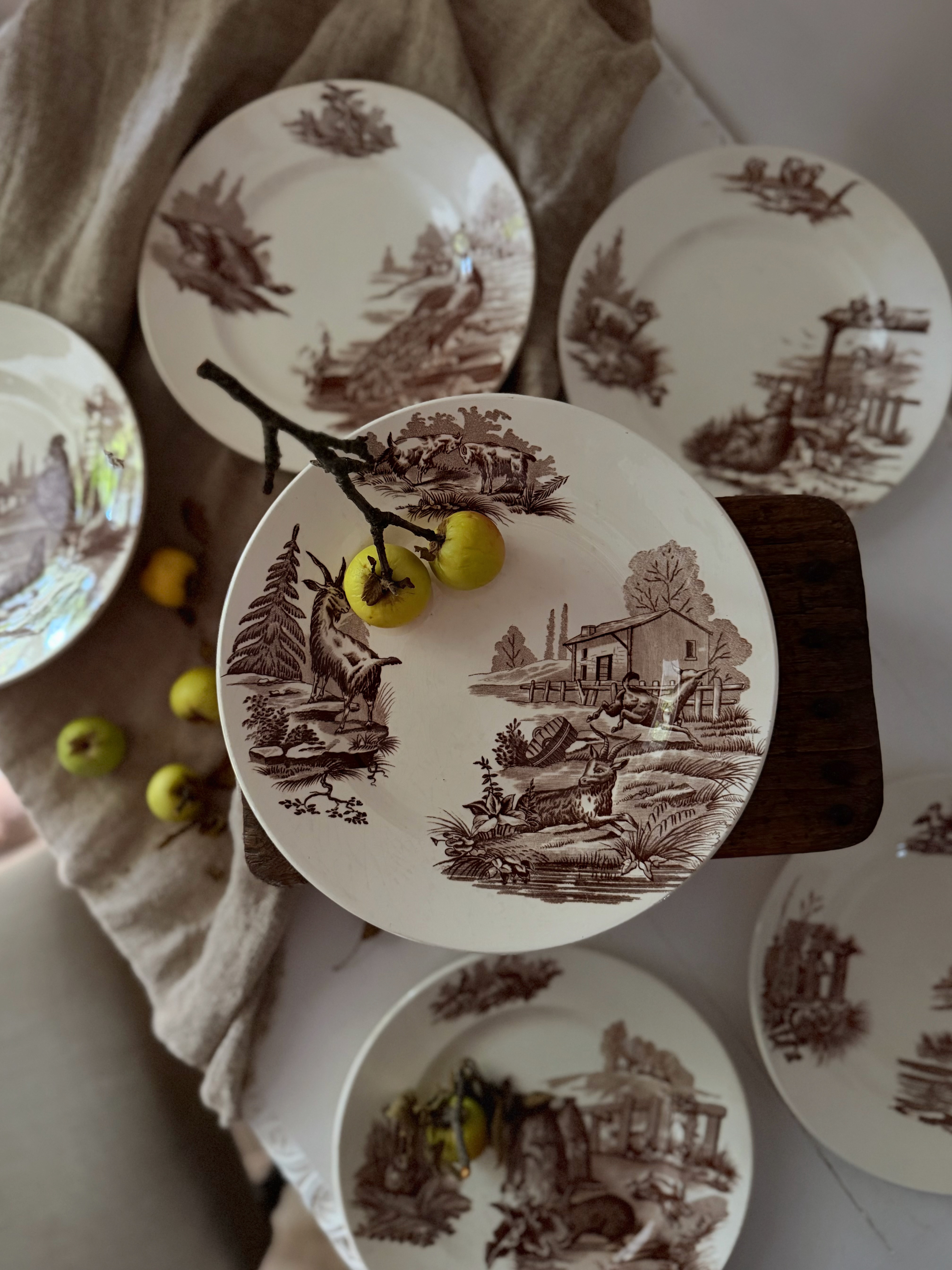 Set of six antique Terre de Fer plates